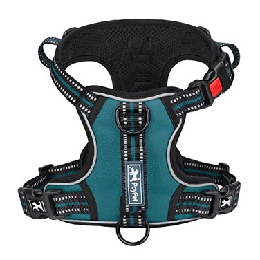 PoyPet No Pull Dog Harness No Choke Front Clip Reflective Dog Vest with Soft Padded Vertical Handle 3 Leash Attachments for Small Medium Large Dogs Tumalo TealXL