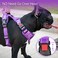 PoyPet No Pull Dog Harness No Choke Reflective Dog Vest Adjustable Pet Harnesses with Easy Control Padded Handle for Small Medium Large DogsPurple Matching TrimS