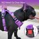 PoyPet No Pull Dog Harness No Choke Reflective Dog Vest Adjustable Pet Harnesses with Easy Control Padded Handle for Small Medium Large DogsPurple Matching TrimS