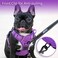 PoyPet No Pull Dog Harness No Choke Reflective Dog Vest Adjustable Pet Harnesses with Easy Control Padded Handle for Small Medium Large DogsPurple Matching TrimS