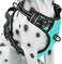 PoyPet No Pull Dog Harness Reflective Comfortable Vest Harness with Front Back 2 Leash Attachments and Easy Control Handle Adjustable Soft Padded Pet Vest for Small to Large Dogs Mint BlueXL