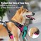 PoyPet No Pull Dog Harness Reflective Comfortable Vest Harness with Front Back 2 Leash Attachments and Easy Control Handle Adjustable Soft Padded Pet Vest for Small to Large Dogs PinkL