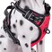 PoyPet No Pull Dog Harness Reflective Comfortable Vest Harness with Front Back 2 Leash Attachments and Easy Control Handle Adjustable Soft Padded Pet Vest for Small to Large Dogs RedM
