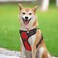 PoyPet No Pull Dog Harness Reflective Comfortable Vest Harness with Front Back 2 Leash Attachments and Easy Control Handle Adjustable Soft Padded Pet Vest for Small to Large Dogs RedM
