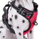 PoyPet No Pull Dog Harness Reflective Comfortable Vest Harness with Front Back 2 Leash Attachments and Easy Control Handle Adjustable Soft Padded Pet Vest for Small to Large Dogs RedM