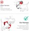 PoyPet No Pull Dog Harness Release at Neck Reflective Adjustable No Choke Pet Vest with Front Back 2 Leash Attachments Soft Control Training Handle for Small DogsCheckered PinkXS