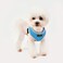 Puppia Soft Harness II Sky Blue S