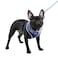 Puppia Vivien Dog Harness OvertheHead All Season Cute No Pull No Choke Walking Training Adjustable for Small Dog Black Small