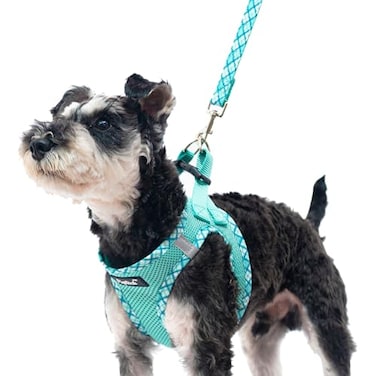 PUPTECK Dog Harness and Leash Set for Small Medium Dogs No Pull Stepin Soft Mesh Puppy Cat Vest Harnesses Reflective at Night Green XS