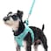 PUPTECK Dog Harness and Leash Set for Small Medium Dogs No Pull Stepin Soft Mesh Puppy Cat Vest Harnesses Reflective at Night Green XS