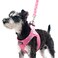 PUPTECK Dog Harness and Leash Set for Small Medium Dogs No Pull Stepin Soft Mesh Puppy Cat Vest Harnesses Reflective at Night Pink M