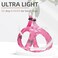 PUPTECK Dog Harness and Leash Set for Small Medium Dogs No Pull Stepin Soft Mesh Puppy Cat Vest Harnesses Reflective at Night Pink M