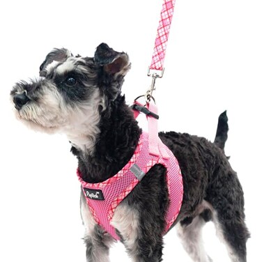 PUPTECK Dog Harness and Leash Set for Small Medium Dogs No Pull Stepin Soft Mesh Puppy Cat Vest Harnesses Reflective at Night Pink M