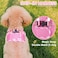 PUPTECK Dog Harness for Puppy and Small Sized Dogs Stepin No Pull Soft Mesh Vest Harness for Cats Small Pets Walking Pink New XS