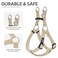 PUPTECK No Pull Dog Harness Soft Adjustable Basic Nylon Step in Puppy Vest Outdoor Walking with ID Tag Cream