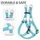 PUPTECK No Pull Dog Harness Soft Adjustable Basic Nylon Step in Puppy Vest Outdoor Walking with ID Tag Medium