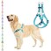 PUPTECK No Pull Dog Harness Soft Adjustable Basic Nylon Step in Puppy Vest Outdoor Walking with ID Tag Medium