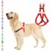 PUPTECK No Pull Dog Harness Soft Adjustable Basic Nylon Step in Puppy Vest Outdoor Walking with ID Tag Medium Red