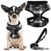 PUPTECK Soft Mesh Dog Harness and Leash Set Pet Puppy Cat Comfort Padded Vest No Pull Harnesses Black XS