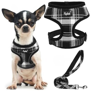 PUPTECK Soft Mesh Dog Harness and Leash Set Pet Puppy Cat Comfort Padded Vest No Pull Harnesses Black XS