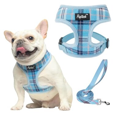 PUPTECK Soft Mesh Dog Harness and Leash Set Pet Puppy Cat Comfort Padded Vest No Pull Harnesses Light Blue L