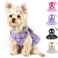 Kosiyi Purple Dog Harness and Leash Set Breathable Adjustable No Pull Harness for Small to Medium Dogs Chest 137173in