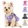 Kosiyi Purple Dog Harness and Leash Set Breathable Adjustable No Pull Harness for Small to Medium Dogs Chest 137173in