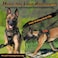 rabbitgoo Dog Harness for Large Dogs No Pull Tactical Service Pet Vest with Molle and Control Handle Adjustable and Reflective Military Harness for Easy Walking and Training Black XL