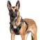 rabbitgoo Dog Harness for Large Dogs No Pull Tactical Service Pet Vest with Molle and Control Handle Adjustable and Reflective Military Harness for Easy Walking and Training Black XL