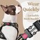 rabbitgoo Dog Harness Medium Sized No Pull Easy On Off with 3 Buckles Pet Harness Adjustable Soft Walking Vest with 2 Clips and Handle Reflective for Medium Dogs Beige M