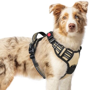 rabbitgoo Dog Harness Medium Sized No Pull Easy On Off with 3 Buckles Pet Harness Adjustable Soft Walking Vest with 2 Clips and Handle Reflective for Medium Dogs Beige M