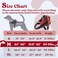 rabbitgoo Dog Harness Medium Sized No Pull No Choke Pet Vest Easy Wearing with One Buckle Adjustable Reflective Harness Buddy with Personalized Molle for Walking Training Red M