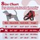rabbitgoo Dog Harness Medium Sized No Pull No Choke Pet Vest Easy Wearing with One Buckle Adjustable Reflective Harness Buddy with Personalized Molle for Walking Training Red M