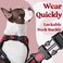 rabbitgoo Dog Harness Medium Sized No Pull Pet Harness with 3 Buckles Adjustable Soft Padded Vest with Control Handle Walking Reflective Pet Vest for Medium Dogs Red M