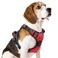 rabbitgoo Dog Harness Medium Sized No Pull Pet Harness with 3 Buckles Adjustable Soft Padded Vest with Control Handle Walking Reflective Pet Vest for Medium Dogs Red M