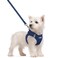 rabbitgoo Dog Harness Small Sized and Leash Set Step in Soft Light Puppy Vest Breathable Mesh Pet Harness Reflective for Safe Outdoor Walking Navy Blue S