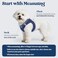 rabbitgoo Dog Harness Small Sized and Leash Set Step in Soft Light Puppy Vest Breathable Mesh Pet Harness Reflective for Safe Outdoor Walking Navy Blue S