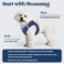 rabbitgoo Dog Harness Small Sized and Leash Set Step in Soft Light Puppy Vest Breathable Mesh Pet Harness Reflective for Safe Outdoor Walking Navy Blue S