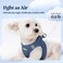 rabbitgoo Dog Harness Small Sized and Leash Set Step in Soft Light Puppy Vest Breathable Mesh Pet Harness Reflective for Safe Outdoor Walking Navy Blue S