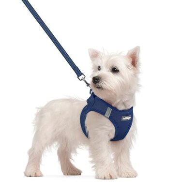 rabbitgoo Dog Harness Small Sized and Leash Set Step in Soft Light Puppy Vest Breathable Mesh Pet Harness Reflective for Safe Outdoor Walking Navy Blue S
