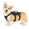 rabbitgoo Escape Proof Dog Harness Soft Padded Full Body Pet Harness Reflective Adjustable No Pull Vest with Lift Handle and Leash Clip for Large Dogs Walking Hiking Training S Black