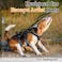 rabbitgoo Escape Proof Dog Harness Soft Padded Full Body Pet Harness Reflective Adjustable No Pull Vest with Lift Handle and Leash Clip for Large Dogs Walking Hiking Training S Black