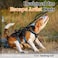 rabbitgoo Escape Proof Dog Harness Soft Padded Full Body Pet Harness Reflective Adjustable No Pull Vest with Lift Handle and Leash Clip for Large Dogs Walking Hiking Training S Black