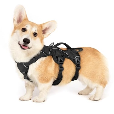 rabbitgoo Escape Proof Dog Harness Soft Padded Full Body Pet Harness Reflective Adjustable No Pull Vest with Lift Handle and Leash Clip for Large Dogs Walking Hiking Training S Black