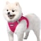rabbitgoo Small Dog Harness Stepin Easy On Soft Light Puppy Vest with Breathable Mesh for Walking Safe Reflective Pet Harness for Small Sized Dogs Rose Red S