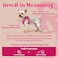 rabbitgoo Small Dog Harness Stepin Easy On Soft Light Puppy Vest with Breathable Mesh for Walking Safe Reflective Pet Harness for Small Sized Dogs Rose Red S