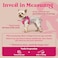 rabbitgoo Small Dog Harness Stepin Easy On Soft Light Puppy Vest with Breathable Mesh for Walking Safe Reflective Pet Harness for Small Sized Dogs Rose Red S