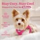 rabbitgoo Small Dog Harness Stepin Easy On Soft Light Puppy Vest with Breathable Mesh for Walking Safe Reflective Pet Harness for Small Sized Dogs Rose Red S