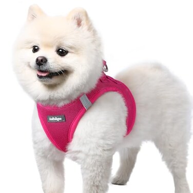 rabbitgoo Small Dog Harness Stepin Easy On Soft Light Puppy Vest with Breathable Mesh for Walking Safe Reflective Pet Harness for Small Sized Dogs Rose Red S