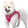 rabbitgoo Small Dog Harness Stepin Easy On Soft Light Puppy Vest with Breathable Mesh for Walking Safe Reflective Pet Harness for Small Sized Dogs Rose Red S